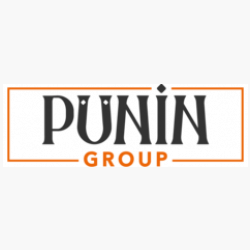 PUNIN GROUP LTD